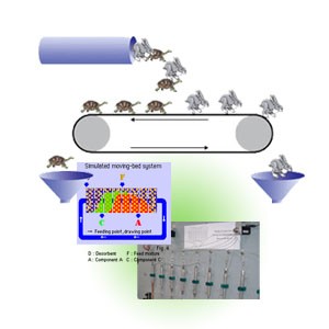 模擬移動床系統